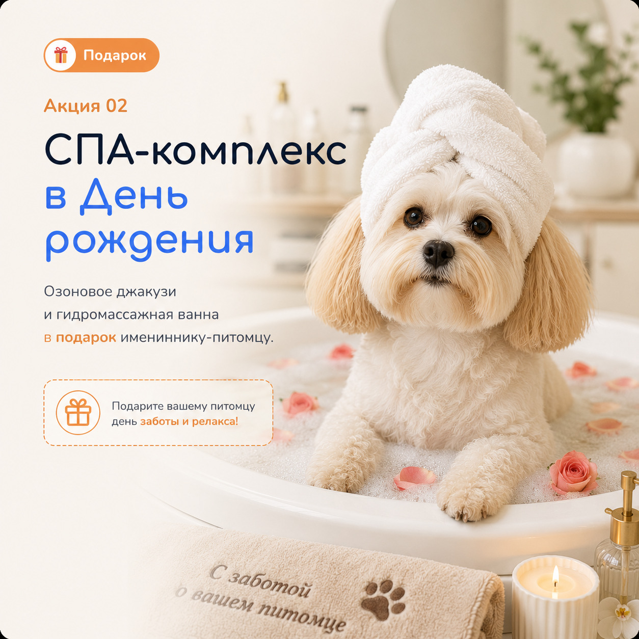 Спа для собак: озоновое джакузи и гидромассажная ванна в подарок на день рождения питомца